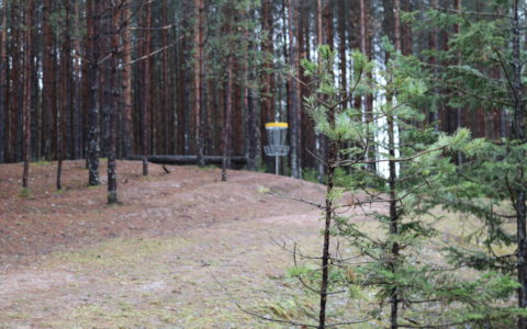 Annikoru neljapäevakud 2017 – N04