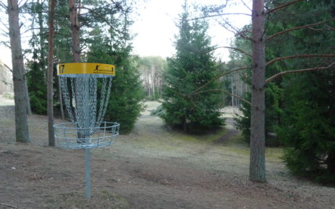 Annikoru neljapäevakud 2017 – N12
